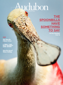 Audubon Magazine “ Winter 2022 | E