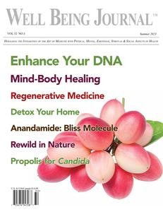 Well Being Journal “ Vol. 32 No. 3, Summer 2023 | E