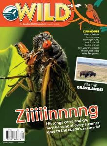 Wild Magazine for Kids “ August September 2022 | E