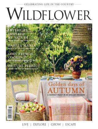 Wildflower Magazine “ Issue 11, Autumn 2022 | E