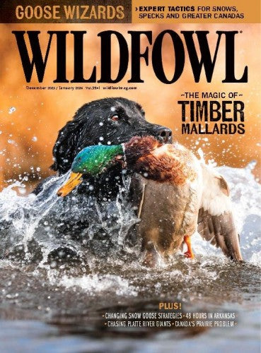 Wildfowl “ December 2023 January 2024 | M&N