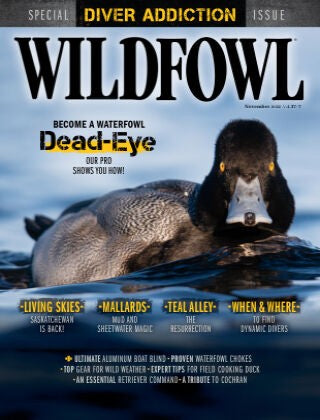 Wildfowl “ Vol. 37 Issue 07, November 2022 | E