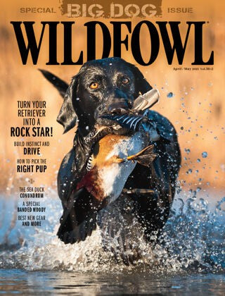 Wildfowl “ Vol. 38 Issue 02, April May 2023 | E