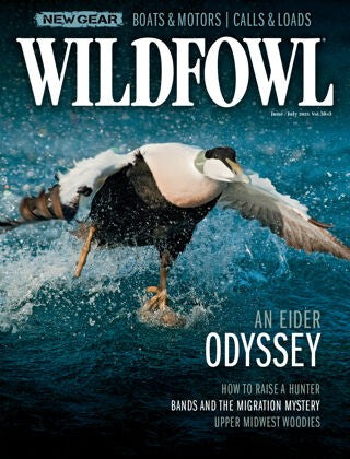 Wildfowl “ Vol. 38 Issue 03, June July 2023 | E