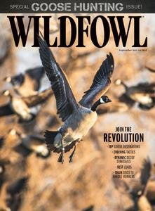 Wildfowl “ Vol. 38 Issue 05, September 2023 | E