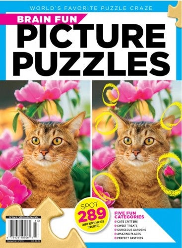 Worlds Favorite Puzzle Craze “ Brain Fun, Picture Puzzles, 202 | E