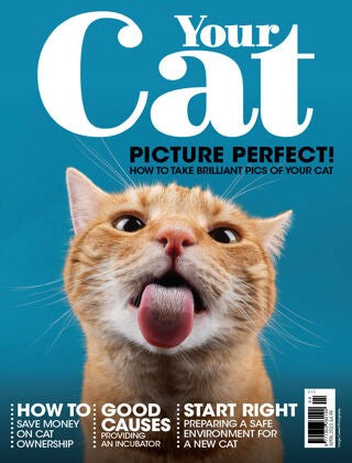 Your Cat Magazine “ April 2023 | E