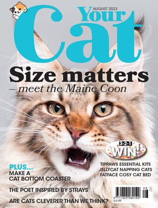 Your Cat Magazine “ August 2023 | E