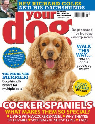 Your Dog Magazine “ August 2023 | E