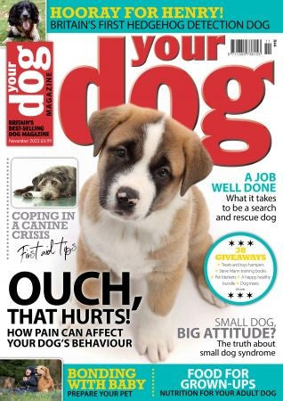 Your Dog Magazine “ November 2022 | E