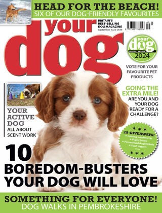 Your Dog Magazine “ September 2023 | E